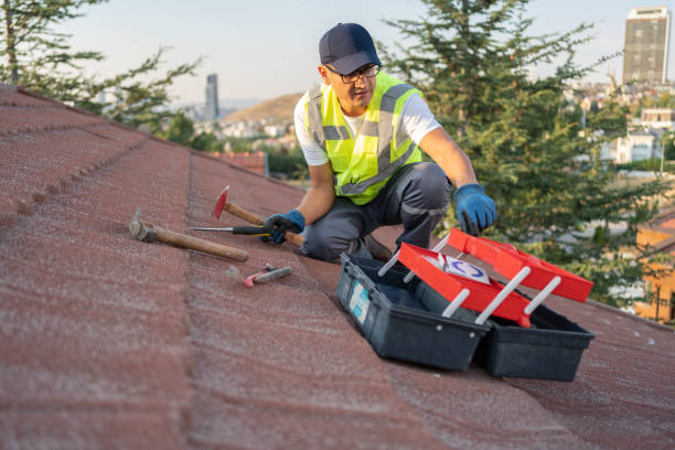 Best Fascia and Soffit Installation  in Hamilton, MT